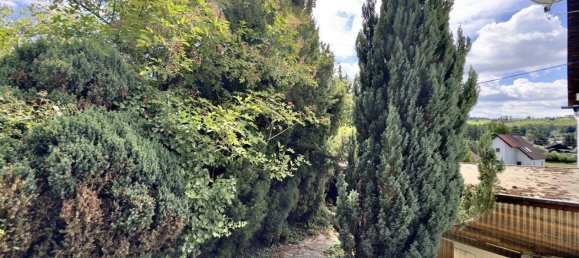 7-salle Châteaux à Schlusslberg, Austria No. 195974 3