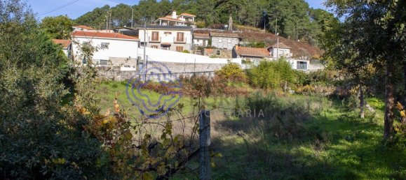 Grundstück in Baiao, Portugal 1390m², Nr. 41126 4