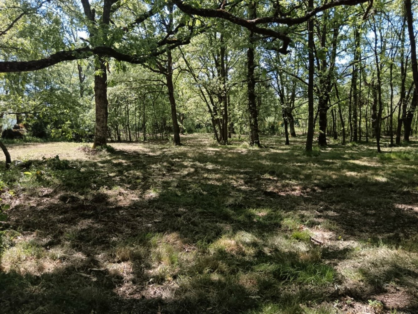 65000m² Land in Ourense, Spain No. 193463