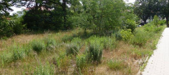  Land in Potsdam-Mittelmark, Germany No. 369375 3