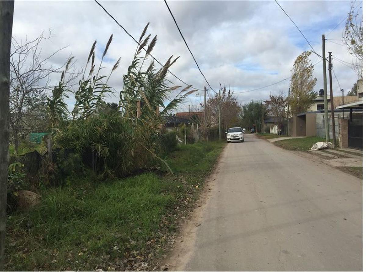 Grundstück in Campo Creado, Argentina, Nr. 119730