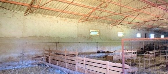 6 chambres Maison à Catignano, Italy No. 375800 13