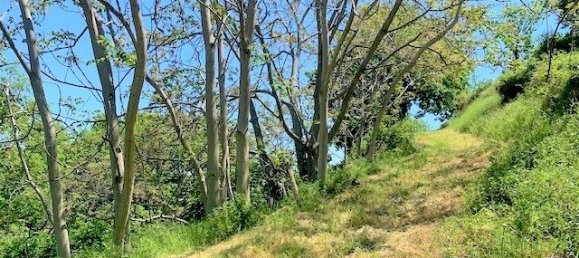 6 chambres Maison à Catignano, Italy No. 375800 20