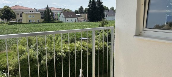 3 rooms Apartment in Perg, Austria No. 161464 2