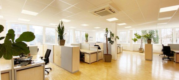 458m² Office in Wels, Austria No. 92616 3