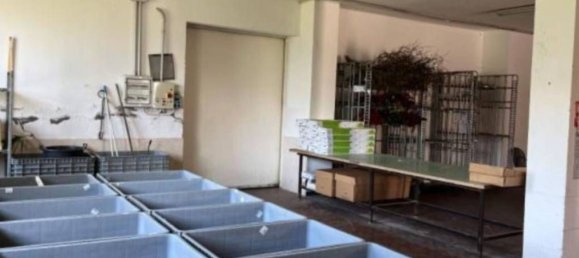 1145m² Commercial property in Tuoro sul Trasimeno, Italy No. 316426 4