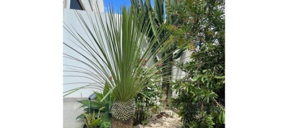 4 chambres Villa à Lagos, Portugal No. 143531 4