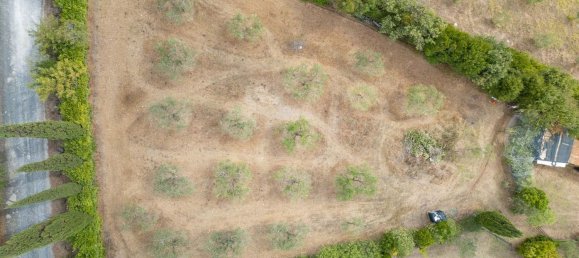 6 rooms Villa in Rosignano Marittimo, Italy No. 306901 30