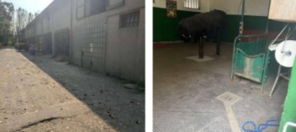 Склад с 5 комнатами в Сант Анджело ди Пьове ди Сакко, Италия № 269111 9