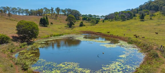 8 chambres Maison à Amamoor, Australia No. 949 24