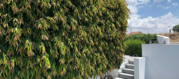 4 غرف نوم عقار تجاري في Nicosia, Cyprus رقم 18749 9