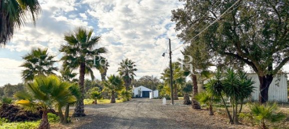 4 Schlafzimmer Haus in Santiago do Cacem, Portugal, Nr. 116592 2
