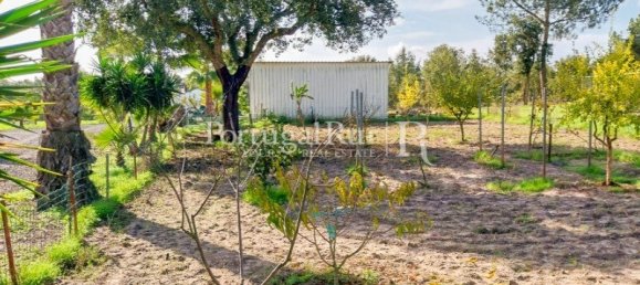 4 Schlafzimmer Haus in Santiago do Cacem, Portugal, Nr. 116592 44