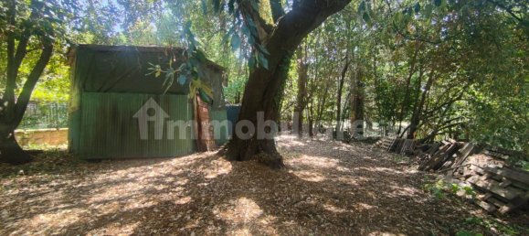 2100m² Land in Albano Laziale, Italy No. 287005 2