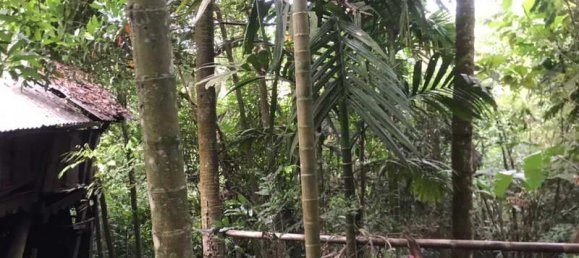 Terrain à Tabanan, Indonesia 2400m² No. 3686 8