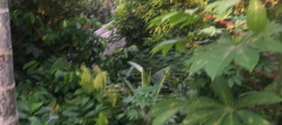 Terrain à Tabanan, Indonesia 2400m² No. 3686 10