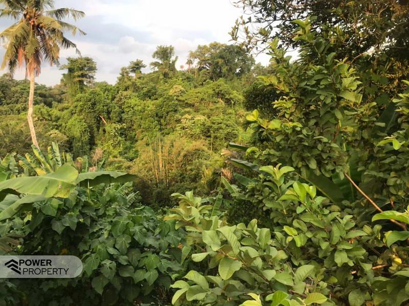 Terrain à Tabanan, Indonesia 2400m² No. 3686