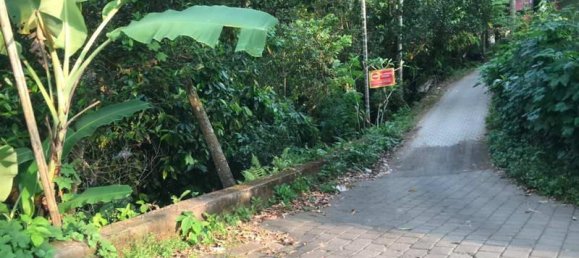 Terrain à Tabanan, Indonesia 2400m² No. 3686 3