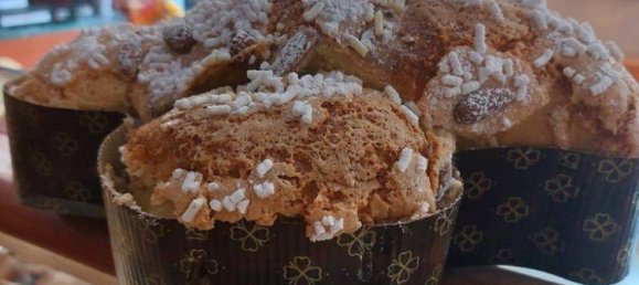 5 rooms Commercial property in Turin, Italy No. 299922 6