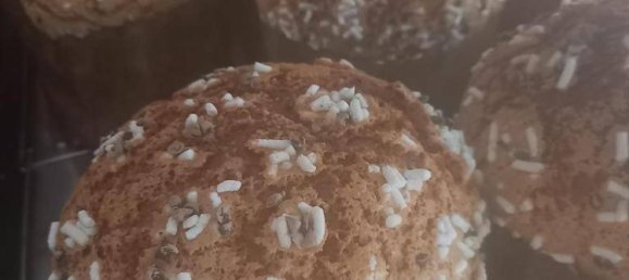 5 rooms Commercial property in Turin, Italy No. 299922 5