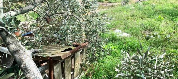  قطعة أرض في Terrassa, Spain 506متر مربع رقم 76646 18