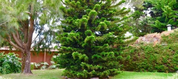 4 bedrooms House in San Rafael, Costa Rica No. 806 6