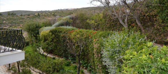 Коммерческая недвижимость с 5 спальнями в Рафина, Греция № 5860 6