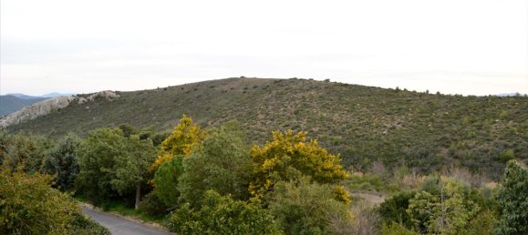 Коммерческая недвижимость с 5 спальнями в Рафина, Греция № 5860 27