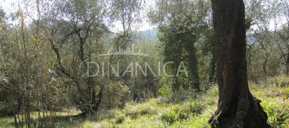 Дом с 6 комнатами в Монтополи ин Валь д’Арно, Италия № 236911 17