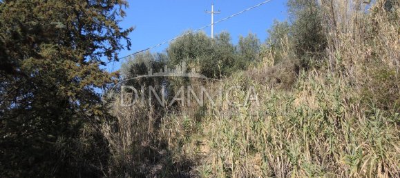 Дом с 6 комнатами в Монтополи ин Валь д’Арно, Италия № 236911 14