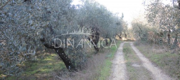 Дом с 6 комнатами в Монтополи ин Валь д’Арно, Италия № 236911 10