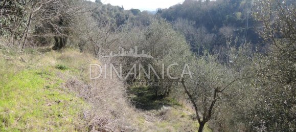 Дом с 6 комнатами в Монтополи ин Валь д’Арно, Италия № 236911 13