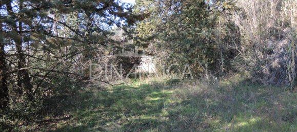 Дом с 6 комнатами в Монтополи ин Валь д’Арно, Италия № 236911 7