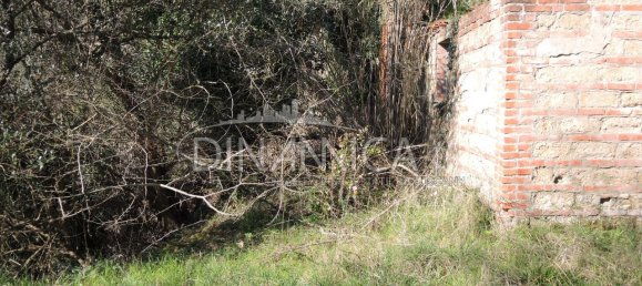 Дом с 6 комнатами в Монтополи ин Валь д’Арно, Италия № 236911 4