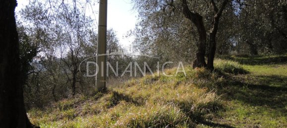 Дом с 6 комнатами в Монтополи ин Валь д’Арно, Италия № 236911 16