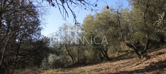 Дом с 6 комнатами в Монтополи ин Валь д’Арно, Италия № 236911 12