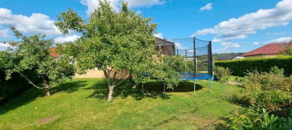 Бунгало с 4 спальнями в Биркенфельд, Германия № 235473 4