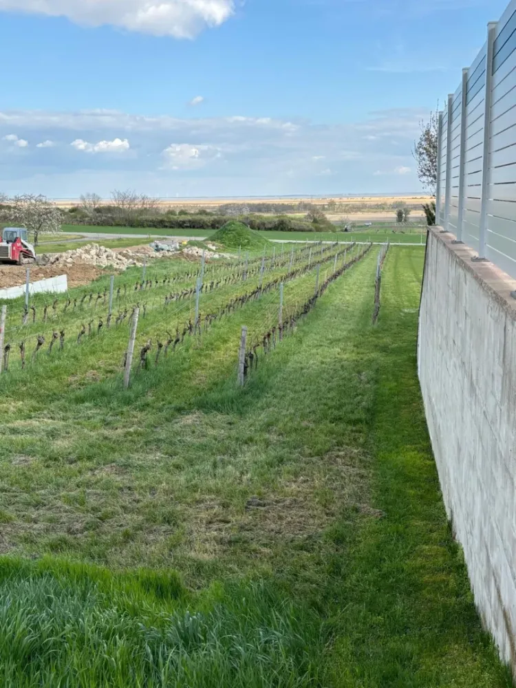 Terreno en Purbach am Neusiedler See, Austria 2250 m² No. 71707