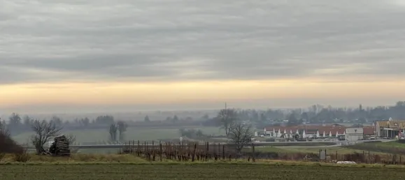 Terreno en Purbach am Neusiedler See, Austria 2250 m² No. 71707 8