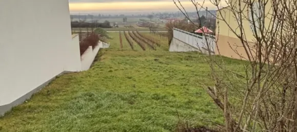 Terreno en Purbach am Neusiedler See, Austria 2250 m² No. 71707 9