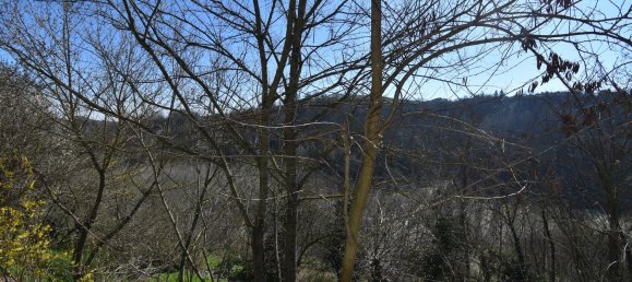 10 rooms House in Vigliano d'Asti, Italy No. 160817 37