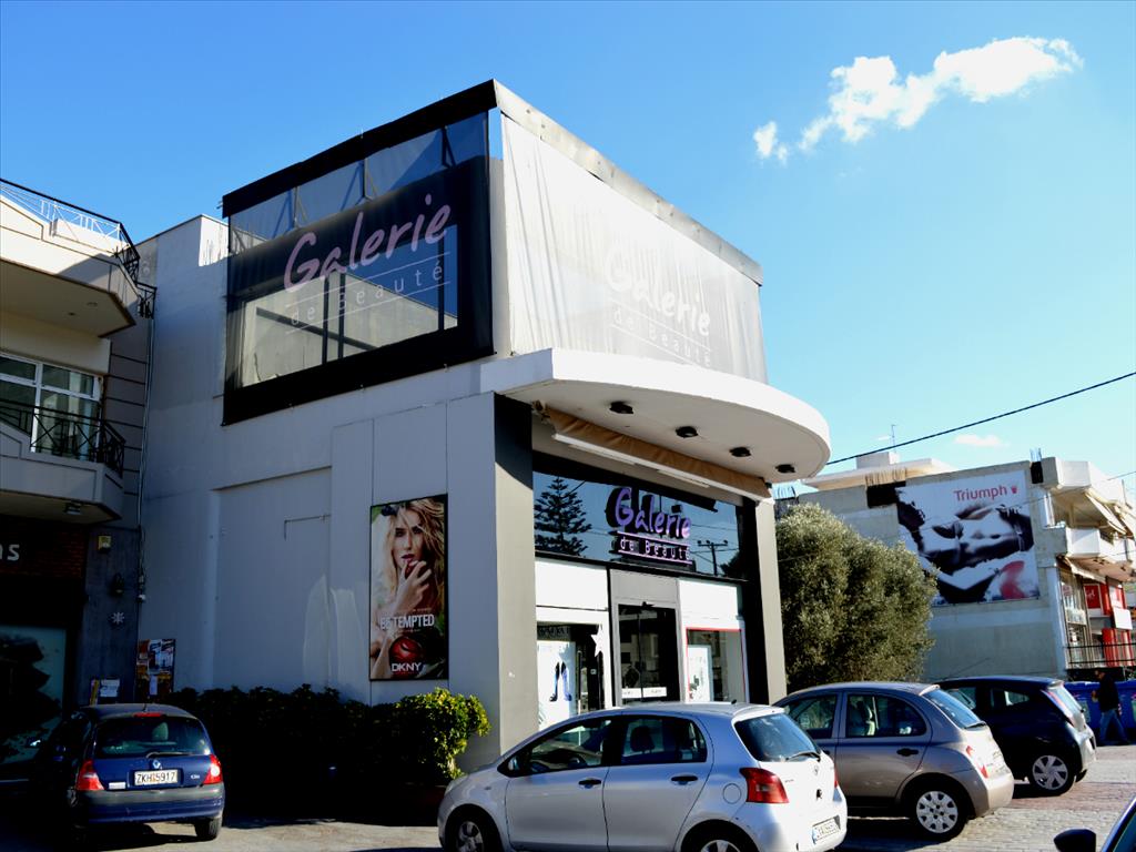 456m² Property in Marathon, Greece No. 5903