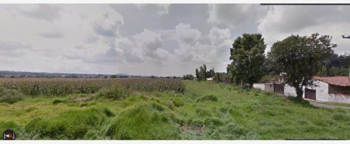  Land in Zinacantepec, Mexico No. 205361