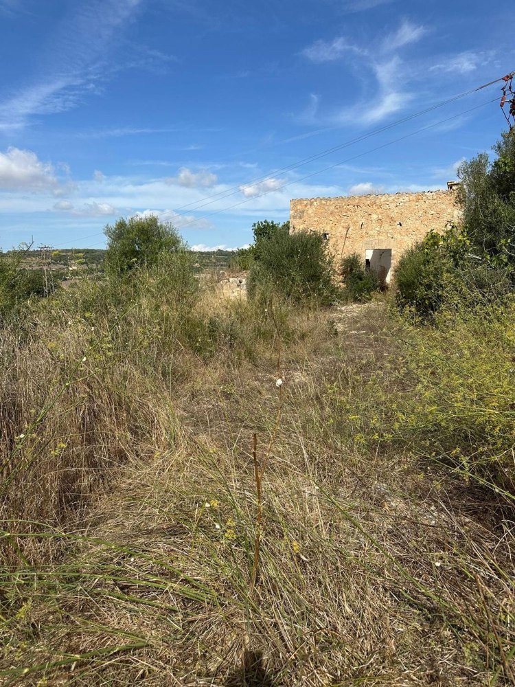  Land in Manacor, Spain No. 192198