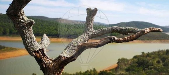 5 chambres Maison à Lagos, Portugal No. 13089 22