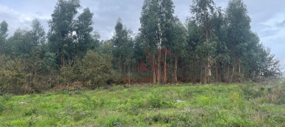  قطعة أرض في Lousada, Portugal رقم 130315 7