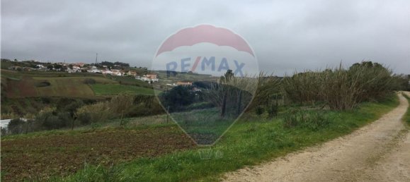 4200m² Land in Lourinha, Portugal No. 76860 5