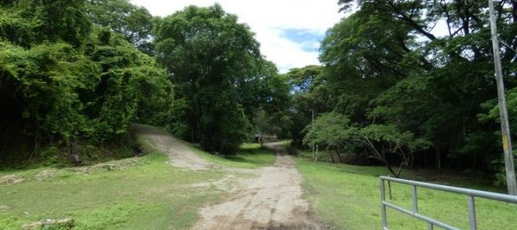 Grundstück in Nicoya, Costa Rica, Nr. 1772 4