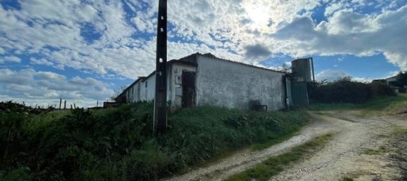 2160m² Land in Alenquer, Portugal No. 94521 11