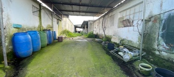 2160m² Land in Alenquer, Portugal No. 94521 5